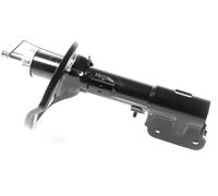 1x Ammortizzatore a Gas Anteriore GH-353050V
