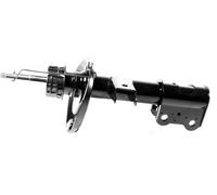 1x Ammortizzatore a Gas Anteriore GH-353374H