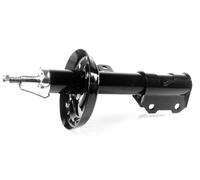 1x Ammortizzatore a Gas Anteriore GH-353668H