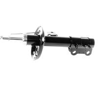 1x Ammortizzatore a Gas Anteriore GH-355079H