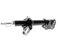 1x Ammortizzatore a Gas Anteriore GH-355248H