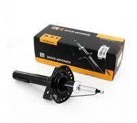 1x Ammortizzatore a Gas Anteriore per Renault Scénic II 06.2003-02.2009