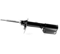 1x Ammortizzatore a Gas Anteriore Sinistro per BMW X5 2000-2006