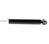 1x Ammortizzatore a Gas Posteriore per BMW X5 E53 05.2000-12.2006