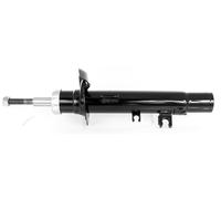 1x Ammortizzatore ad Olio Anteriore Sinistro per Citroën C2, C3 2002-