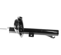 1x Ammortizzatore Anteriore Destro per Ford Focus I & Clipper DAF,FBW,DFW,DNW