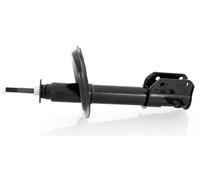 1x Ammortizzatore Anteriore per Fiat Punto 1 176 176C 176L 1993-1999 1,1-1,7