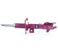 1x Ammortizzatore PRO a Gas Anteriore GH+352298H