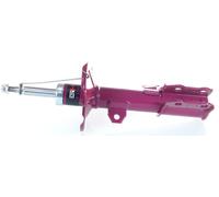 1x Ammortizzatore PRO a Gas Anteriore GH+354553H
