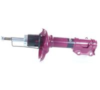 1x Ammortizzatore PRO a Gas Anteriore GH+359950