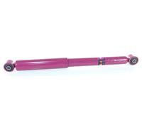 1x Ammortizzatore PRO a Gas Posteriore GH+335290