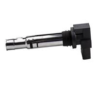 1X BOBINA DI ACCENSIONE for VW BORA EOS GOLF JETTA POLO TOURAN 036905100A