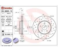 Brembo Disco freno XTRA LINE 09.8665.1X per Ford Mondeo III (B5Y) 1 pezzo