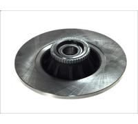 Delphi Disco freno BG9031RS posteriore pieno, 1 pezzo