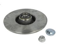 Delphi Disco freno BG9032RS posteriore, pieno – 1 pezzo