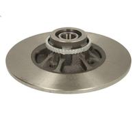 Disco freno DELPHI BG9114RS posteriore, pieno, 1 Pezzo