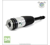 1x Gamba elastica con ammortiz. Arnott Anteriore per TESLA MODEL #ga