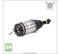 1x Gamba elastica con ammortiz. Arnott Posteriore per LAND ROVER RANGE I