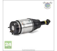 1x Gamba elastica con ammortiz. Arnott Posteriore per LAND ROVER RANGE I DISCOV