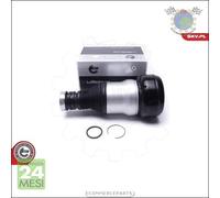 1x Gamba elastica con ammortiz. Esen Posteriore Dx Destro per MERCEDES CLASSE S