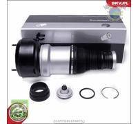 1x Gamba elastica con ammortiz. Esen Posteriore per MERCEDES CLASSE S 600 550 5