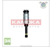 1x Gamba elastica con ammortiz. Kamoka Anteriore per LAND ROVER DISCOVERY III I