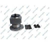 1x GSP Set Cuscinetti Posteriore per Citroën Jumpy Peugeot Expert Tepee VF3V_