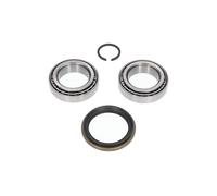 1x KAVO PARTS Set Cuscinetti Ruota Assale Anteriore per Hyundai Terracan HP