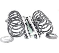 1x Kit Completo di Sospensione a Gas Posteriore GH-331923S01