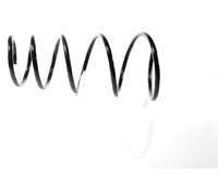 1x Molla suspensione Anteriore GH-202399