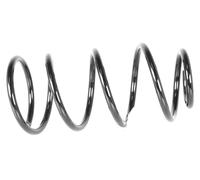 1x Molla suspensione Anteriore GH-2025464