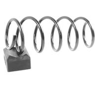 1x Molla suspensione Anteriore GH-2025542