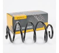 1x Molla suspensione Anteriore GH-2025672