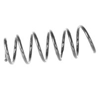 1x Molla suspensione Anteriore GH-2030493