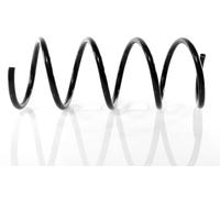 1x Molla suspensione Anteriore GH-203369