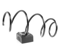 1x Molla suspensione Anteriore GH-2039832