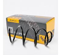 1x Molla suspensione Anteriore GH-204742