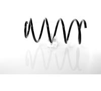 1x Molla suspensione Anteriore GH-204815
