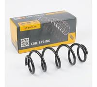 1x Molla suspensione Anteriore GH-2099144