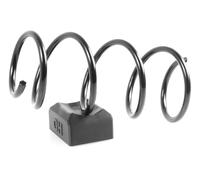 1x Molla suspensione Anteriore GH-2099653
