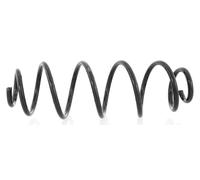 1x Molla suspensione Posteriore GH-221903