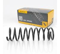 1x Molla suspensione Posteriore GH-222513