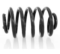 1x Molla suspensione Posteriore GH-223606