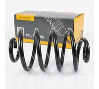 1x Molla suspensione Posteriore GH-223612