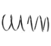 1x Molla suspensione Posteriore GH-223998