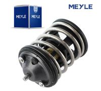 1x Originale Meyle EGR Termostato Per BMW Mini 1ER 3ER E81 F20 E88 E90 F31 Mini