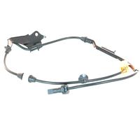 1x Sensore ABS Anteriore Destro per Honda Accord 2003-2005