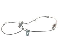 1x Sensore ABS Anteriore Sinistro per Hyundai Elantra (XD), Kia Cerato