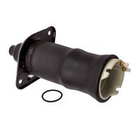 1x Sospensione Pneumatica for Audi Allroad A6 C5 Posteriore Sinistra 4Z7616051B