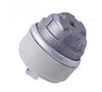 1X Supporto Motore Supporto Gomma Supporto Motore per Benz W221 S500 Base CGI LH 2212406217 RH 2212406317